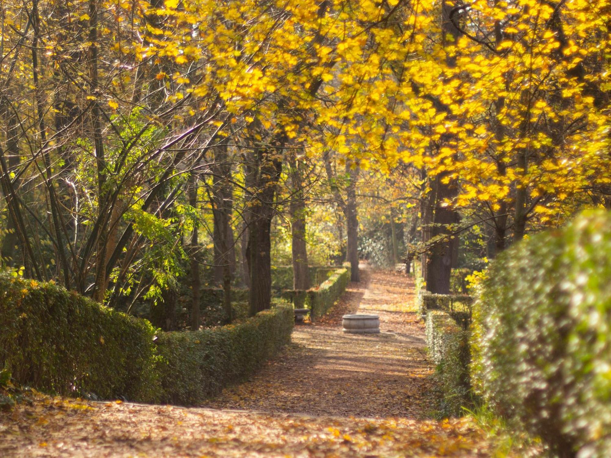 Exclusive Nestled In The Vibrant Neighborhood Of Neptuno Apartment Madrid